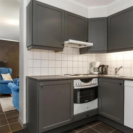 Apartment Amazing In With Kitchen *