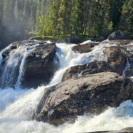 Apartment Pet Friendly In