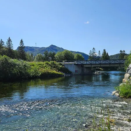 Pet Friendly In Apartment