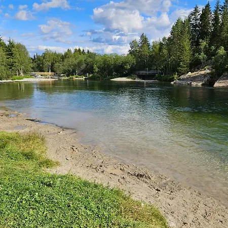 Pet Friendly In Apartment Hemsedal