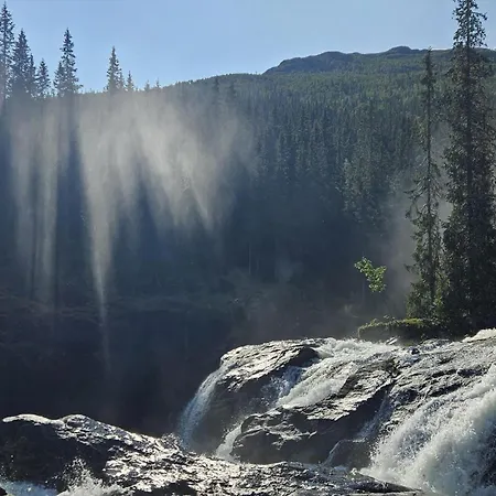 Pet Friendly In Apartment *