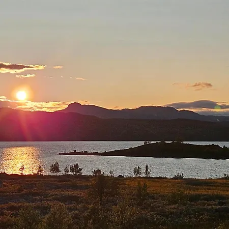 Apartment Pet Friendly In