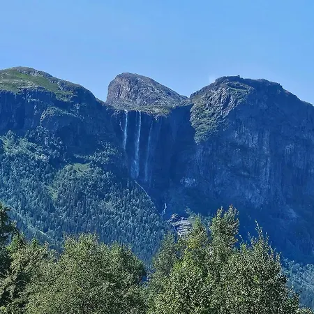 Pet Friendly In * Hemsedal