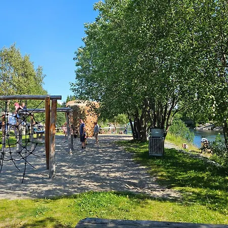 Pet Friendly In Apartment