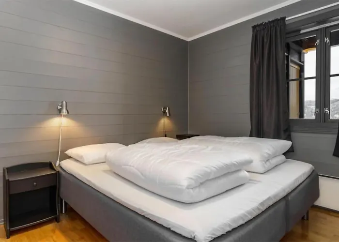 Pet Friendly In Leilighet Hemsedal