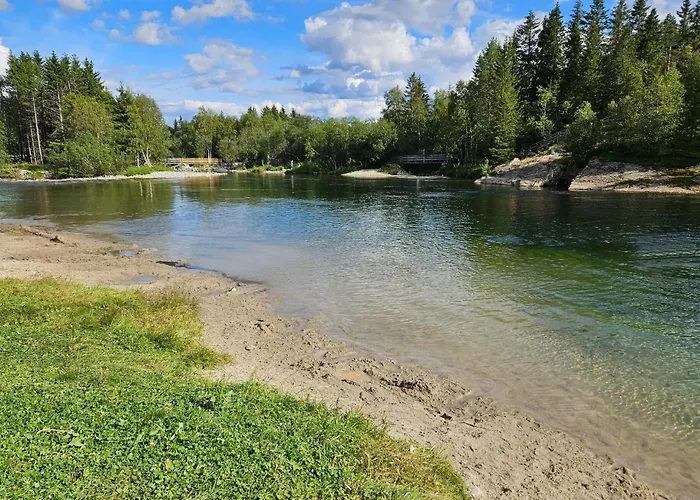 Pet Friendly In Leilighet Hemsedal