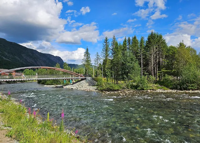 Pet Friendly In * Hemsedal