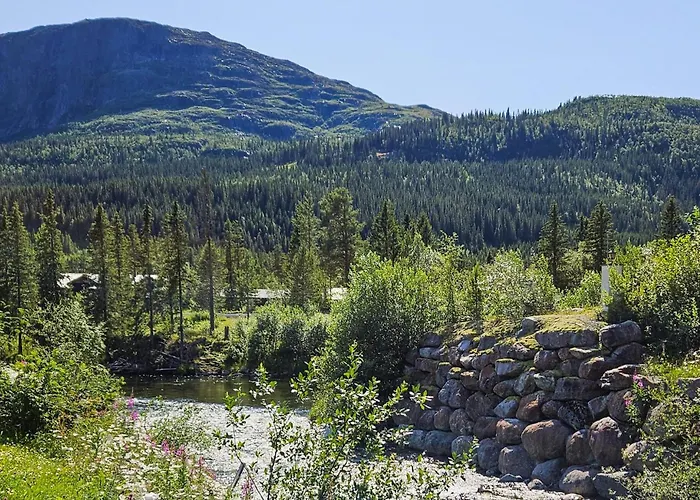 Pet Friendly In Leilighet Hemsedal